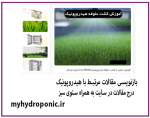 بازنویسی مقالات و درج در سایت به همراه سئوی سبز