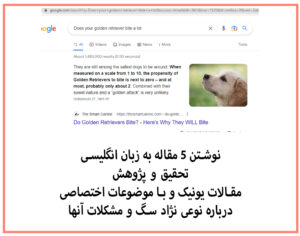 نوشتن مقاله به زبان انگلیسی درباره نژاد سگ golden retriever